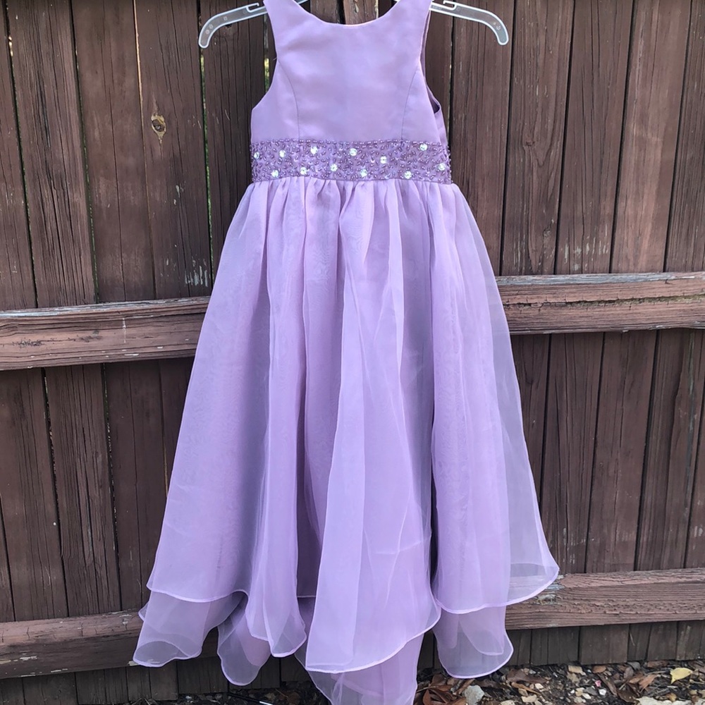 Wisteria Princess organza dress